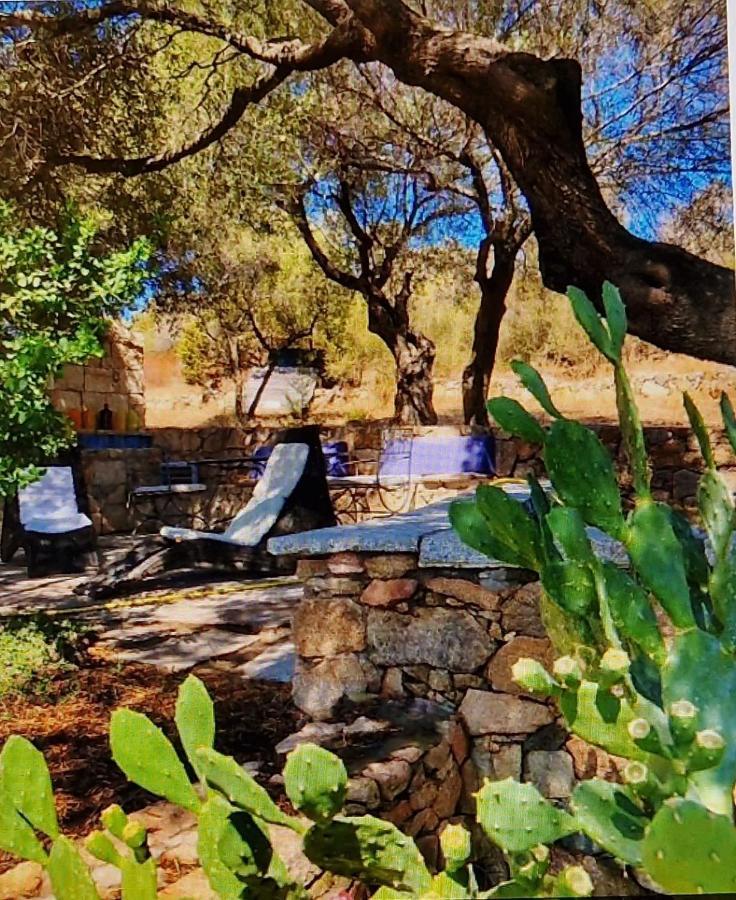 Villa Smeralda 올비아 외부 사진